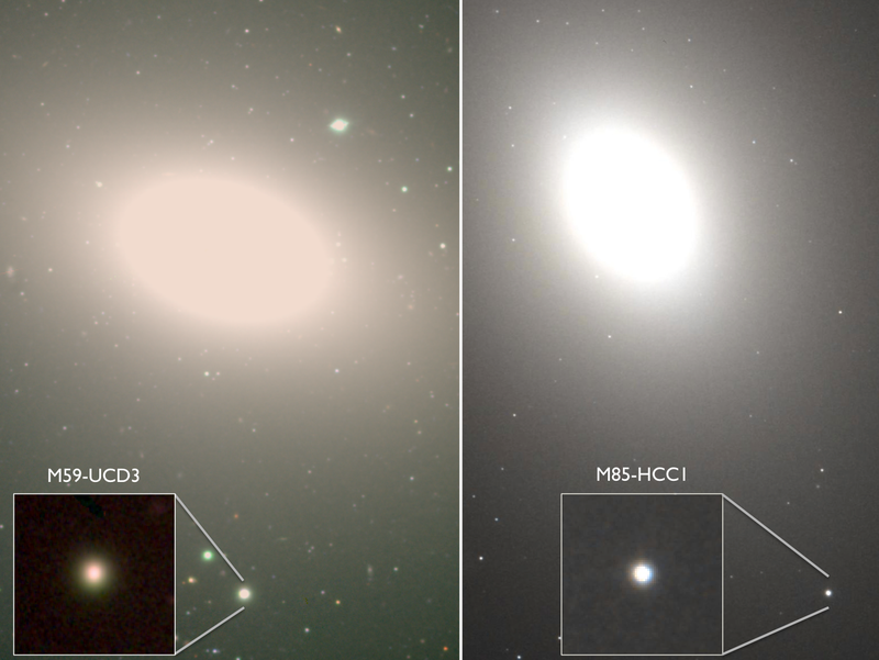 Illustration for article titled Astronomers Discover a New Class of Freakishly Dense, Compact Galaxies